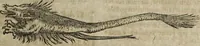 An illustration from Ioannis Eusebii Nierembergii Madritensis ex Societate Iesu ... Historia naturae, maxime peregrinae, libris XVI. distincta : in quibus rarissima naturae arcana, etiam astronomica, & ignota Indiarum animalia, ... plantae, metalla, lapides & alia mineralia, fluuiorumque & elementorum conditiones, etiam cum proprietatibus medicinalibus, describuntur ... : accedunt de miris & miraculosis naturis in Europâ libri duo, item de iisdem in terrâ Hebraeis promissâ liber vnus (1635)