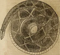 An illustration from Ioannis Eusebii Nierembergii Madritensis ex Societate Iesu ... Historia naturae, maxime peregrinae, libris XVI. distincta : in quibus rarissima naturae arcana, etiam astronomica, & ignota Indiarum animalia, ... plantae, metalla, lapides & alia mineralia, fluuiorumque & elementorum conditiones, etiam cum proprietatibus medicinalibus, describuntur ... : accedunt de miris & miraculosis naturis in Europâ libri duo, item de iisdem in terrâ Hebraeis promissâ liber vnus (1635)