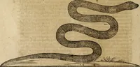 An illustration from Ioannis Eusebii Nierembergii Madritensis ex Societate Iesu ... Historia naturae, maxime peregrinae, libris XVI. distincta : in quibus rarissima naturae arcana, etiam astronomica, & ignota Indiarum animalia, ... plantae, metalla, lapides & alia mineralia, fluuiorumque & elementorum conditiones, etiam cum proprietatibus medicinalibus, describuntur ... : accedunt de miris & miraculosis naturis in Europâ libri duo, item de iisdem in terrâ Hebraeis promissâ liber vnus (1635)