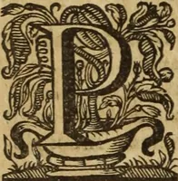 Picture 79 of 109 from Ioannis Eusebii Nierembergii Madritensis ex Societate Iesu ... Historia naturae, maxime peregrinae, libris XVI. distincta : in quibus rarissima naturae arcana, etiam astronomica, & ignota Indiarum animalia, ... plantae, metalla, lapides & alia mineralia, fluuiorumque & elementorum conditiones, etiam cum proprietatibus medicinalibus, describuntur ... : accedunt de miris & miraculosis naturis in Europâ libri duo, item de iisdem in terrâ Hebraeis promissâ liber vnus (1635), leaf 307
