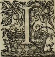 Picture 99 of 109 from Ioannis Eusebii Nierembergii Madritensis ex Societate Iesu ... Historia naturae, maxime peregrinae, libris XVI. distincta : in quibus rarissima naturae arcana, etiam astronomica, & ignota Indiarum animalia, ... plantae, metalla, lapides & alia mineralia, fluuiorumque & elementorum conditiones, etiam cum proprietatibus medicinalibus, describuntur ... : accedunt de miris & miraculosis naturis in Europâ libri duo, item de iisdem in terrâ Hebraeis promissâ liber vnus (1635), leaf 400