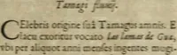 Picture 100 of 109 from Ioannis Eusebii Nierembergii Madritensis ex Societate Iesu ... Historia naturae, maxime peregrinae, libris XVI. distincta : in quibus rarissima naturae arcana, etiam astronomica, & ignota Indiarum animalia, ... plantae, metalla, lapides & alia mineralia, fluuiorumque & elementorum conditiones, etiam cum proprietatibus medicinalibus, describuntur ... : accedunt de miris & miraculosis naturis in Europâ libri duo, item de iisdem in terrâ Hebraeis promissâ liber vnus (1635), leaf 408