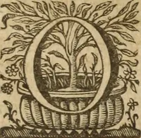 Picture 7 of 109 from Ioannis Eusebii Nierembergii Madritensis ex Societate Iesu ... Historia naturae, maxime peregrinae, libris XVI. distincta : in quibus rarissima naturae arcana, etiam astronomica, & ignota Indiarum animalia, ... plantae, metalla, lapides & alia mineralia, fluuiorumque & elementorum conditiones, etiam cum proprietatibus medicinalibus, describuntur ... : accedunt de miris & miraculosis naturis in Europâ libri duo, item de iisdem in terrâ Hebraeis promissâ liber vnus (1635), leaf 41