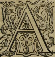 An illustration from Ioannis Eusebii Nierembergii Madritensis ex Societate Iesu ... Historia naturae, maxime peregrinae, libris XVI. distincta : in quibus rarissima naturae arcana, etiam astronomica, & ignota Indiarum animalia, ... plantae, metalla, lapides & alia mineralia, fluuiorumque & elementorum conditiones, etiam cum proprietatibus medicinalibus, describuntur ... : accedunt de miris & miraculosis naturis in Europâ libri duo, item de iisdem in terrâ Hebraeis promissâ liber vnus (1635)