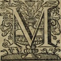 Picture 102 of 109 from Ioannis Eusebii Nierembergii Madritensis ex Societate Iesu ... Historia naturae, maxime peregrinae, libris XVI. distincta : in quibus rarissima naturae arcana, etiam astronomica, & ignota Indiarum animalia, ... plantae, metalla, lapides & alia mineralia, fluuiorumque & elementorum conditiones, etiam cum proprietatibus medicinalibus, describuntur ... : accedunt de miris & miraculosis naturis in Europâ libri duo, item de iisdem in terrâ Hebraeis promissâ liber vnus (1635), leaf 438