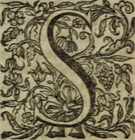An illustration from Ioannis Eusebii Nierembergii Madritensis ex Societate Iesu ... Historia naturae, maxime peregrinae, libris XVI. distincta : in quibus rarissima naturae arcana, etiam astronomica, & ignota Indiarum animalia, ... plantae, metalla, lapides & alia mineralia, fluuiorumque & elementorum conditiones, etiam cum proprietatibus medicinalibus, describuntur ... : accedunt de miris & miraculosis naturis in Europâ libri duo, item de iisdem in terrâ Hebraeis promissâ liber vnus (1635)