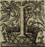 Picture 105 of 109 from Ioannis Eusebii Nierembergii Madritensis ex Societate Iesu ... Historia naturae, maxime peregrinae, libris XVI. distincta : in quibus rarissima naturae arcana, etiam astronomica, & ignota Indiarum animalia, ... plantae, metalla, lapides & alia mineralia, fluuiorumque & elementorum conditiones, etiam cum proprietatibus medicinalibus, describuntur ... : accedunt de miris & miraculosis naturis in Europâ libri duo, item de iisdem in terrâ Hebraeis promissâ liber vnus (1635), leaf 470