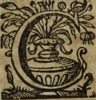An illustration from Ioannis Eusebii Nierembergii Madritensis ex Societate Iesu ... Historia naturae, maxime peregrinae, libris XVI. distincta : in quibus rarissima naturae arcana, etiam astronomica, & ignota Indiarum animalia, ... plantae, metalla, lapides & alia mineralia, fluuiorumque & elementorum conditiones, etiam cum proprietatibus medicinalibus, describuntur ... : accedunt de miris & miraculosis naturis in Europâ libri duo, item de iisdem in terrâ Hebraeis promissâ liber vnus (1635)