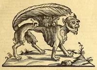 Picture 26 of 61 from Ioannis Eusebii Nierembergii Madritensis ex Societate Iesu ... historia naturæ, maxime peregrinæ, libris XVI. distincta. In quibus rarissima naturæ arcana, etiam astronomica, & ignota Indiarum animalia ... plantæ, metalla, lapides ... fluuioruḿque & elementorum conditiones, etiam cum proprietatibus medicinalibus, describuntur ... : Accedunt de miris & miraculosis naturis in Europâ libri duo: item de iisdem in terrâ Hebræis promissâ liber vnus (1635), leaf 201