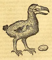 Picture 35 of 61 from Ioannis Eusebii Nierembergii Madritensis ex Societate Iesu ... historia naturæ, maxime peregrinæ, libris XVI. distincta. In quibus rarissima naturæ arcana, etiam astronomica, & ignota Indiarum animalia ... plantæ, metalla, lapides ... fluuioruḿque & elementorum conditiones, etiam cum proprietatibus medicinalibus, describuntur ... : Accedunt de miris & miraculosis naturis in Europâ libri duo: item de iisdem in terrâ Hebræis promissâ liber vnus (1635), leaf 243