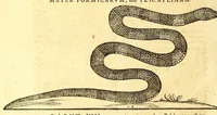 An illustration from Ioannis Eusebii Nierembergii Madritensis ex Societate Iesu ... historia naturæ, maxime peregrinæ, libris XVI. distincta. In quibus rarissima naturæ arcana, etiam astronomica, & ignota Indiarum animalia ... plantæ, metalla, lapides ... fluuioruḿque & elementorum conditiones, etiam cum proprietatibus medicinalibus, describuntur ... : Accedunt de miris & miraculosis naturis in Europâ libri duo: item de iisdem in terrâ Hebræis promissâ liber vnus (1635)