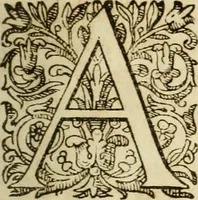 An illustration from Ioannis Mariae Vermiglioli de Vermigliolis ... Consilia criminalia ad defensam in Romana Cvria edita (1651)