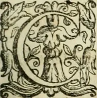 An illustration from Ioannis Mariae Vermiglioli de Vermigliolis ... Consilia criminalia ad defensam in Romana Cvria edita (1651)