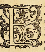 An illustration from Ioannis MeursI Rerum Belgicarum libri quatuor. : In quibus Ferdinandi Albani Sexennium, belli Belgici principium. Additur quintus, seorsim anteà excusus, in quo induciarum historia ; et eiusdem belli finis (1614)