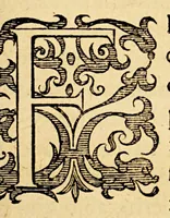 An illustration from Ioannis MeursI Rerum Belgicarum libri quatuor. : In quibus Ferdinandi Albani Sexennium, belli Belgici principium. Additur quintus, seorsim anteà excusus, in quo induciarum historia ; et eiusdem belli finis (1614)