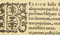 An illustration from Ioannis MeursI Rerum Belgicarum libri quatuor. : In quibus Ferdinandi Albani Sexennium, belli Belgici principium. Additur quintus, seorsim anteà excusus, in quo induciarum historia ; et eiusdem belli finis (1614)