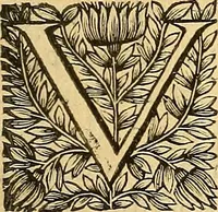An illustration from Ioannis Pecqueti ... Experimenta nova anatomica : quibus incognitum hactenus chyli receptaculum, & ab eo per thoracem in ramos usque subclavios vasa lactea deteguntur : issertatio anatomica de circulatione sanguinis et chyli motu (1654)