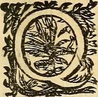 An illustration from Ioannis Pecqueti ... Experimenta nova anatomica : quibus incognitum hactenus chyli receptaculum, & ab eo per thoracem in ramos usque subclavios vasa lactea deteguntur : issertatio anatomica de circulatione sanguinis et chyli motu (1654)