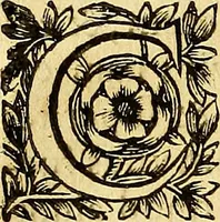 An illustration from Ioannis Pecqueti ... Experimenta nova anatomica : quibus incognitum hactenus chyli receptaculum, & ab eo per thoracem in ramos usque subclavios vasa lactea deteguntur : issertatio anatomica de circulatione sanguinis et chyli motu (1654)