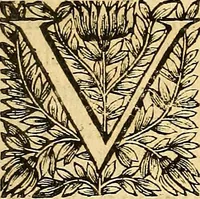 An illustration from Ioannis Pecqueti ... Experimenta nova anatomica : quibus incognitum hactenus chyli receptaculum, & ab eo per thoracem in ramos usque subclavios vasa lactea deteguntur : issertatio anatomica de circulatione sanguinis et chyli motu (1654)