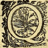 An illustration from Ioannis Pecqueti ... Experimenta nova anatomica : quibus incognitum hactenus chyli receptaculum, & ab eo per thoracem in ramos usque subclavios vasa lactea deteguntur : issertatio anatomica de circulatione sanguinis et chyli motu (1654)