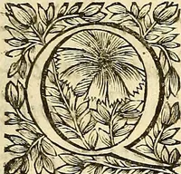 An illustration from Ioannis Pecqueti ... Experimenta nova anatomica : quibus incognitum hactenus chyli receptaculum, & ab eo per thoracem in ramos usque subclavios vasa lactea deteguntur : issertatio anatomica de circulatione sanguinis et chyli motu (1654)