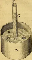 Picture 24 of 39 from Ioannis Pecqueti ... Experimenta nova anatomica : quibus incognitum hactenus chyli receptaculum, & ab eo per thoracem in ramos usque subclavios vasa lactea deteguntur : issertatio anatomica de circulatione sanguinis et chyli motu (1654), leaf 83