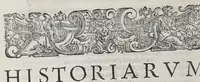 An illustration from Io[annis] Petri Maffeii Bergomatis e Societate Iesu Historiarum Indicarum libri XVI. : Selectarum item ex India epistolarum eodem interprete libri IIII. Accessit Ignatij Loiolae vita postremo recognita. Et in opera singula copiosus index (1589)