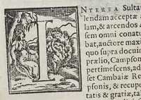 An illustration from Io[annis] Petri Maffeii Bergomatis e Societate Iesu Historiarum Indicarum libri XVI. : Selectarum item ex India epistolarum eodem interprete libri IIII. Accessit Ignatij Loiolae vita postremo recognita. Et in opera singula copiosus index (1589)