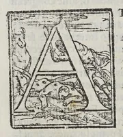 An illustration from Io[annis] Petri Maffeii Bergomatis e Societate Iesu Historiarum Indicarum libri XVI. : Selectarum item ex India epistolarum eodem interprete libri IIII. Accessit Ignatij Loiolae vita postremo recognita. Et in opera singula copiosus index (1589)