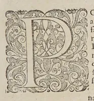 An illustration from Ioan[nis] Petri Maffeii, Bergomatis, e Societate Iesu, Historiarum Indicarum libri XVI. : Selectarum, item, ex Jndia epistolarum, eodem interprete, libri IV. Accessit Ignatii Loiolae vita. (1593)