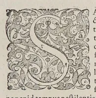 An illustration from Ioan[nis] Petri Maffeii, Bergomatis, e Societate Iesu, Historiarum Indicarum libri XVI. : Selectarum, item, ex Jndia epistolarum, eodem interprete, libri IV. Accessit Ignatii Loiolae vita. (1593)