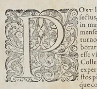An illustration from Ioan[nis] Petri Maffeii, Bergomatis, e Societate Iesu, Historiarum Indicarum libri XVI. : Selectarum, item, ex Jndia epistolarum, eodem interprete, libri IV. Accessit Ignatii Loiolae vita. (1593)