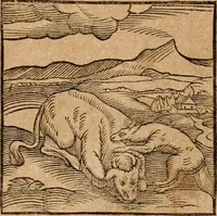 An illustration from Ioannis Pierii Valeriani Bellvnensis Hieroglyphica, sive, De sacris Ægyptiorvm aliarumq gentium literis commentariorum libri LVIII : cum duobus alijs ab eruditissimo viro annexis : accesserunt loco auctarij, Hieroglyphicorum collectanea, ex veteribus & recentioribus auctoribus descripta, & in sex libros digesta : Horapollinis item hieroglyphicorum libri duo, ex postrema Dauidis Hschelij correctione : prætereà eiusdem Pierij declamatiuncula pro barbis sacerdotum, & reliqua opuscula siue poemata omnia (1614)