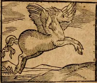 An illustration from Ioannis Pierii Valeriani Bellvnensis Hieroglyphica, sive, De sacris Ægyptiorvm aliarumq gentium literis commentariorum libri LVIII : cum duobus alijs ab eruditissimo viro annexis : accesserunt loco auctarij, Hieroglyphicorum collectanea, ex veteribus & recentioribus auctoribus descripta, & in sex libros digesta : Horapollinis item hieroglyphicorum libri duo, ex postrema Dauidis Hschelij correctione : prætereà eiusdem Pierij declamatiuncula pro barbis sacerdotum, & reliqua opuscula siue poemata omnia (1614)