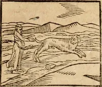 An illustration from Ioannis Pierii Valeriani Bellvnensis Hieroglyphica, sive, De sacris Ægyptiorvm aliarumq gentium literis commentariorum libri LVIII : cum duobus alijs ab eruditissimo viro annexis : accesserunt loco auctarij, Hieroglyphicorum collectanea, ex veteribus & recentioribus auctoribus descripta, & in sex libros digesta : Horapollinis item hieroglyphicorum libri duo, ex postrema Dauidis Hschelij correctione : prætereà eiusdem Pierij declamatiuncula pro barbis sacerdotum, & reliqua opuscula siue poemata omnia (1614)