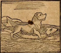 An illustration from Ioannis Pierii Valeriani Bellvnensis Hieroglyphica, sive, De sacris Ægyptiorvm aliarumq gentium literis commentariorum libri LVIII : cum duobus alijs ab eruditissimo viro annexis : accesserunt loco auctarij, Hieroglyphicorum collectanea, ex veteribus & recentioribus auctoribus descripta, & in sex libros digesta : Horapollinis item hieroglyphicorum libri duo, ex postrema Dauidis Hschelij correctione : prætereà eiusdem Pierij declamatiuncula pro barbis sacerdotum, & reliqua opuscula siue poemata omnia (1614)