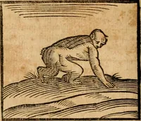 An illustration from Ioannis Pierii Valeriani Bellvnensis Hieroglyphica, sive, De sacris Ægyptiorvm aliarumq gentium literis commentariorum libri LVIII : cum duobus alijs ab eruditissimo viro annexis : accesserunt loco auctarij, Hieroglyphicorum collectanea, ex veteribus & recentioribus auctoribus descripta, & in sex libros digesta : Horapollinis item hieroglyphicorum libri duo, ex postrema Dauidis Hschelij correctione : prætereà eiusdem Pierij declamatiuncula pro barbis sacerdotum, & reliqua opuscula siue poemata omnia (1614)