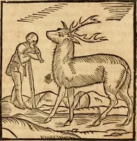 An illustration from Ioannis Pierii Valeriani Bellvnensis Hieroglyphica, sive, De sacris Ægyptiorvm aliarumq gentium literis commentariorum libri LVIII : cum duobus alijs ab eruditissimo viro annexis : accesserunt loco auctarij, Hieroglyphicorum collectanea, ex veteribus & recentioribus auctoribus descripta, & in sex libros digesta : Horapollinis item hieroglyphicorum libri duo, ex postrema Dauidis Hschelij correctione : prætereà eiusdem Pierij declamatiuncula pro barbis sacerdotum, & reliqua opuscula siue poemata omnia (1614)
