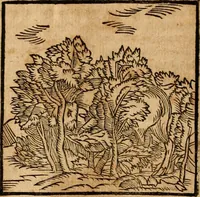 An illustration from Ioannis Pierii Valeriani Bellvnensis Hieroglyphica, sive, De sacris Ægyptiorvm aliarumq gentium literis commentariorum libri LVIII : cum duobus alijs ab eruditissimo viro annexis : accesserunt loco auctarij, Hieroglyphicorum collectanea, ex veteribus & recentioribus auctoribus descripta, & in sex libros digesta : Horapollinis item hieroglyphicorum libri duo, ex postrema Dauidis Hschelij correctione : prætereà eiusdem Pierij declamatiuncula pro barbis sacerdotum, & reliqua opuscula siue poemata omnia (1614)