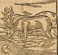 An illustration from Ioannis Pierii Valeriani Bellvnensis Hieroglyphica, sive, De sacris Ægyptiorvm aliarumq gentium literis commentariorum libri LVIII : cum duobus alijs ab eruditissimo viro annexis : accesserunt loco auctarij, Hieroglyphicorum collectanea, ex veteribus & recentioribus auctoribus descripta, & in sex libros digesta : Horapollinis item hieroglyphicorum libri duo, ex postrema Dauidis Hschelij correctione : prætereà eiusdem Pierij declamatiuncula pro barbis sacerdotum, & reliqua opuscula siue poemata omnia (1614)