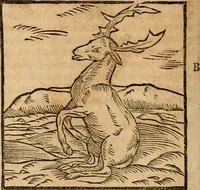 An illustration from Ioannis Pierii Valeriani Bellvnensis Hieroglyphica, sive, De sacris Ægyptiorvm aliarumq gentium literis commentariorum libri LVIII : cum duobus alijs ab eruditissimo viro annexis : accesserunt loco auctarij, Hieroglyphicorum collectanea, ex veteribus & recentioribus auctoribus descripta, & in sex libros digesta : Horapollinis item hieroglyphicorum libri duo, ex postrema Dauidis Hschelij correctione : prætereà eiusdem Pierij declamatiuncula pro barbis sacerdotum, & reliqua opuscula siue poemata omnia (1614)