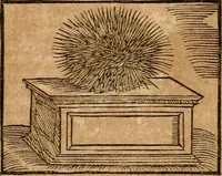 An illustration from Ioannis Pierii Valeriani Bellvnensis Hieroglyphica, sive, De sacris Ægyptiorvm aliarumq gentium literis commentariorum libri LVIII : cum duobus alijs ab eruditissimo viro annexis : accesserunt loco auctarij, Hieroglyphicorum collectanea, ex veteribus & recentioribus auctoribus descripta, & in sex libros digesta : Horapollinis item hieroglyphicorum libri duo, ex postrema Dauidis Hschelij correctione : prætereà eiusdem Pierij declamatiuncula pro barbis sacerdotum, & reliqua opuscula siue poemata omnia (1614)