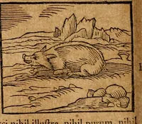 An illustration from Ioannis Pierii Valeriani Bellvnensis Hieroglyphica, sive, De sacris Ægyptiorvm aliarumq gentium literis commentariorum libri LVIII : cum duobus alijs ab eruditissimo viro annexis : accesserunt loco auctarij, Hieroglyphicorum collectanea, ex veteribus & recentioribus auctoribus descripta, & in sex libros digesta : Horapollinis item hieroglyphicorum libri duo, ex postrema Dauidis Hschelij correctione : prætereà eiusdem Pierij declamatiuncula pro barbis sacerdotum, & reliqua opuscula siue poemata omnia (1614)