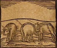 An illustration from Ioannis Pierii Valeriani Bellvnensis Hieroglyphica, sive, De sacris Ægyptiorvm aliarumq gentium literis commentariorum libri LVIII : cum duobus alijs ab eruditissimo viro annexis : accesserunt loco auctarij, Hieroglyphicorum collectanea, ex veteribus & recentioribus auctoribus descripta, & in sex libros digesta : Horapollinis item hieroglyphicorum libri duo, ex postrema Dauidis Hschelij correctione : prætereà eiusdem Pierij declamatiuncula pro barbis sacerdotum, & reliqua opuscula siue poemata omnia (1614)