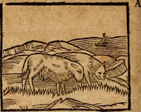 An illustration from Ioannis Pierii Valeriani Bellvnensis Hieroglyphica, sive, De sacris Ægyptiorvm aliarumq gentium literis commentariorum libri LVIII : cum duobus alijs ab eruditissimo viro annexis : accesserunt loco auctarij, Hieroglyphicorum collectanea, ex veteribus & recentioribus auctoribus descripta, & in sex libros digesta : Horapollinis item hieroglyphicorum libri duo, ex postrema Dauidis Hschelij correctione : prætereà eiusdem Pierij declamatiuncula pro barbis sacerdotum, & reliqua opuscula siue poemata omnia (1614)