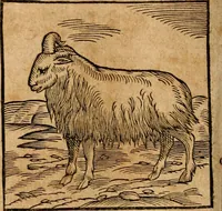An illustration from Ioannis Pierii Valeriani Bellvnensis Hieroglyphica, sive, De sacris Ægyptiorvm aliarumq gentium literis commentariorum libri LVIII : cum duobus alijs ab eruditissimo viro annexis : accesserunt loco auctarij, Hieroglyphicorum collectanea, ex veteribus & recentioribus auctoribus descripta, & in sex libros digesta : Horapollinis item hieroglyphicorum libri duo, ex postrema Dauidis Hschelij correctione : prætereà eiusdem Pierij declamatiuncula pro barbis sacerdotum, & reliqua opuscula siue poemata omnia (1614)