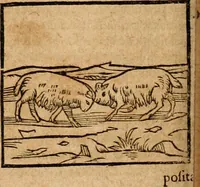 An illustration from Ioannis Pierii Valeriani Bellvnensis Hieroglyphica, sive, De sacris Ægyptiorvm aliarumq gentium literis commentariorum libri LVIII : cum duobus alijs ab eruditissimo viro annexis : accesserunt loco auctarij, Hieroglyphicorum collectanea, ex veteribus & recentioribus auctoribus descripta, & in sex libros digesta : Horapollinis item hieroglyphicorum libri duo, ex postrema Dauidis Hschelij correctione : prætereà eiusdem Pierij declamatiuncula pro barbis sacerdotum, & reliqua opuscula siue poemata omnia (1614)