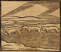 An illustration from Ioannis Pierii Valeriani Bellvnensis Hieroglyphica, sive, De sacris Ægyptiorvm aliarumq gentium literis commentariorum libri LVIII : cum duobus alijs ab eruditissimo viro annexis : accesserunt loco auctarij, Hieroglyphicorum collectanea, ex veteribus & recentioribus auctoribus descripta, & in sex libros digesta : Horapollinis item hieroglyphicorum libri duo, ex postrema Dauidis Hschelij correctione : prætereà eiusdem Pierij declamatiuncula pro barbis sacerdotum, & reliqua opuscula siue poemata omnia (1614)