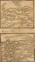 An illustration from Ioannis Pierii Valeriani Bellvnensis Hieroglyphica, sive, De sacris Ægyptiorvm aliarumq gentium literis commentariorum libri LVIII : cum duobus alijs ab eruditissimo viro annexis : accesserunt loco auctarij, Hieroglyphicorum collectanea, ex veteribus & recentioribus auctoribus descripta, & in sex libros digesta : Horapollinis item hieroglyphicorum libri duo, ex postrema Dauidis Hschelij correctione : prætereà eiusdem Pierij declamatiuncula pro barbis sacerdotum, & reliqua opuscula siue poemata omnia (1614)